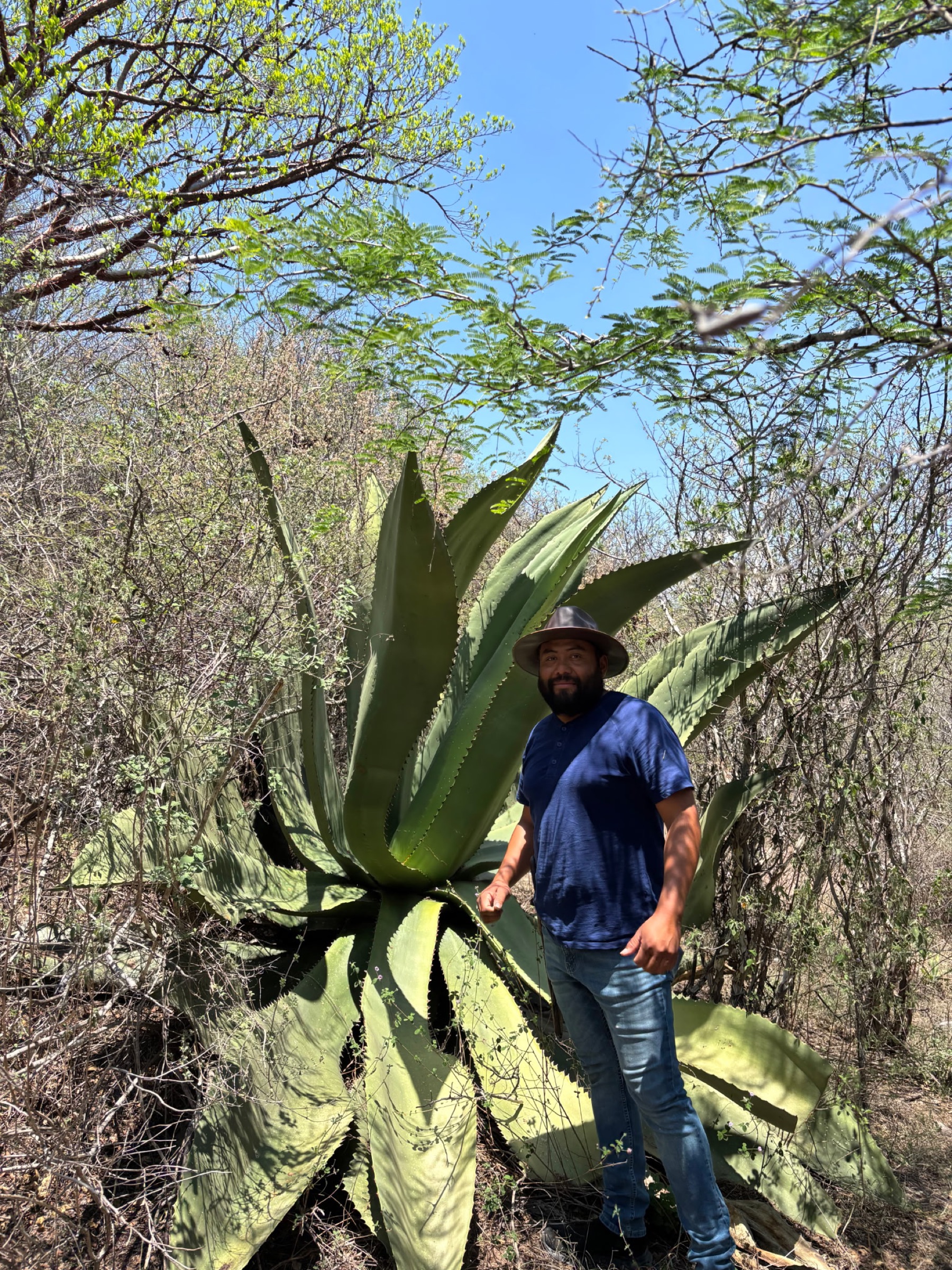 Lalo Pérez Cortés at the family palenque, Miahuatlán