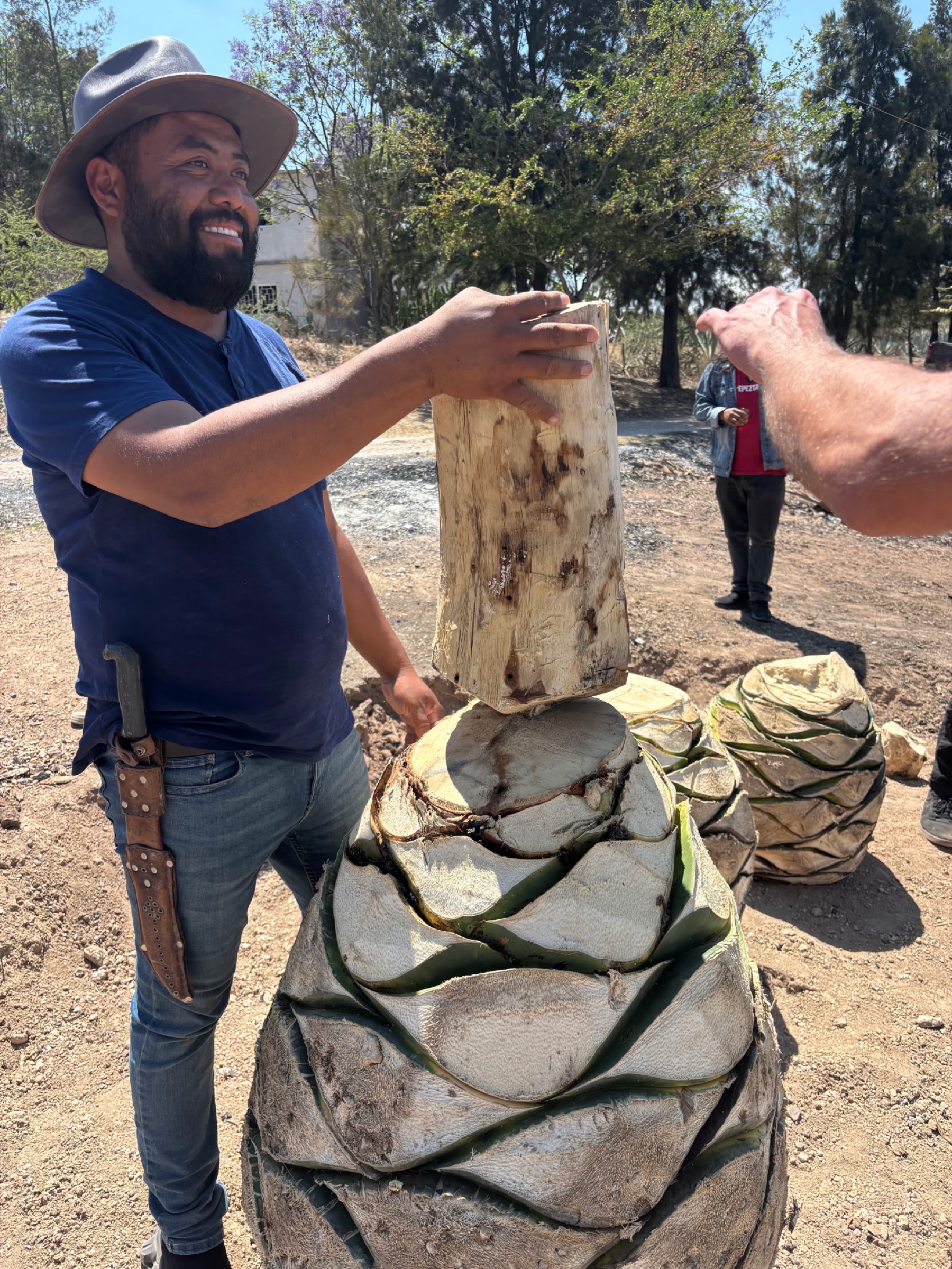 Eduardo 'Lalo' Pérez Cortés in the agave field at the family palenque, Miahuatlán, Oaxaca